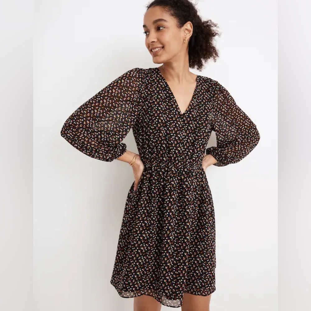 NWOT Madewell Georgette Button-Front Mini Dress